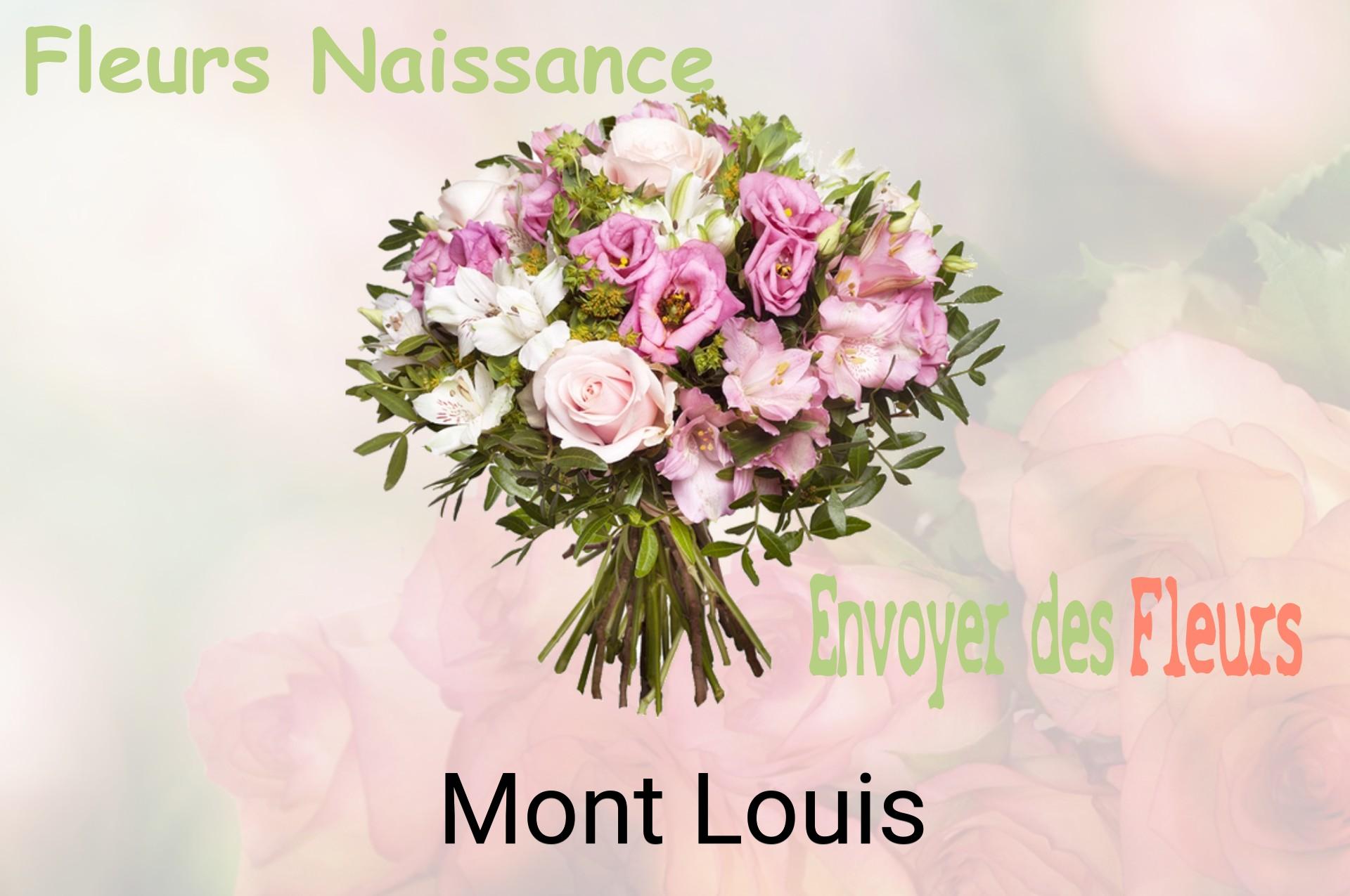 Bouquet de fleurs de naissance livré à Mont-Louis